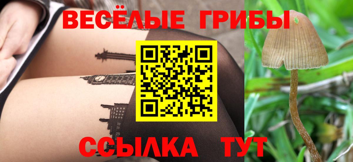 Галлюциногенные грибы мицелий  где продают наркотики  Псилоцибиновые грибы мухоморы  Зеленодольск  Вход с VPN 